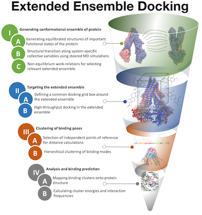 Extended Ensemble Docking