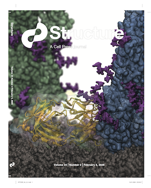 Role of Membrane in Antibodies Against Influenza