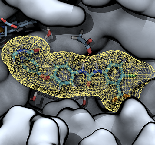 CYP, drugs, and membrane