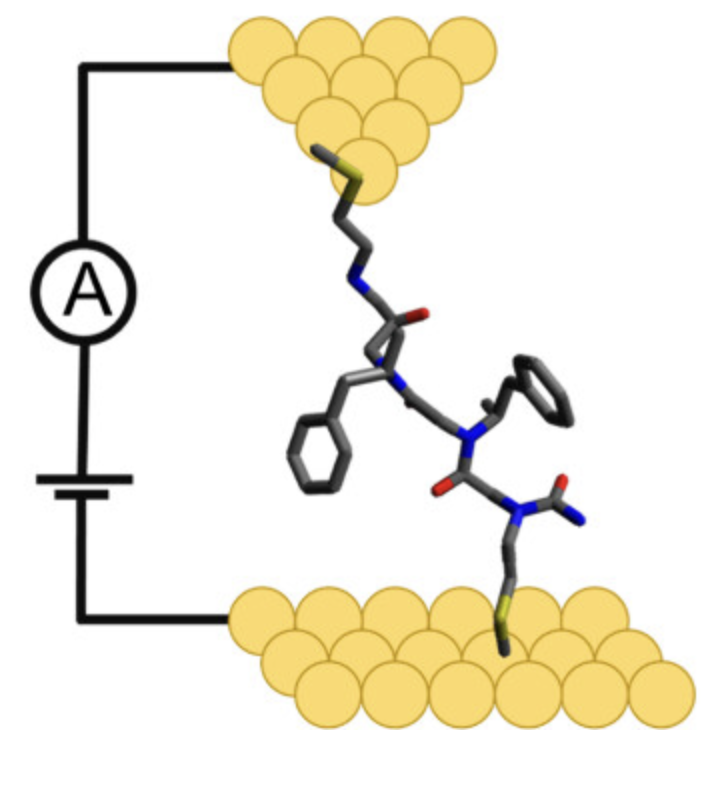 Electron Transport in Peptoids