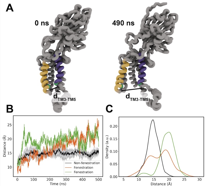 Lipid-protein interactions in a translocan